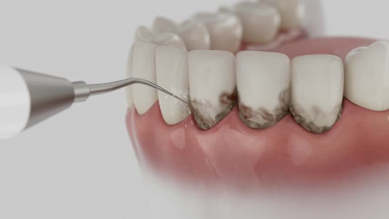 Reliable Dental contractor in Rossmoor, NJ by Dentist Open Now